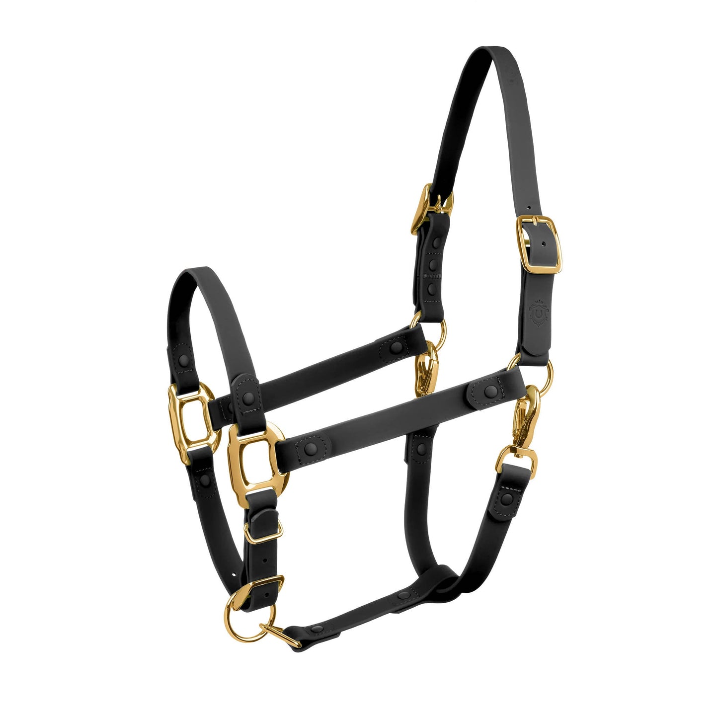 Black and Gold Horse Halter - iCavalos