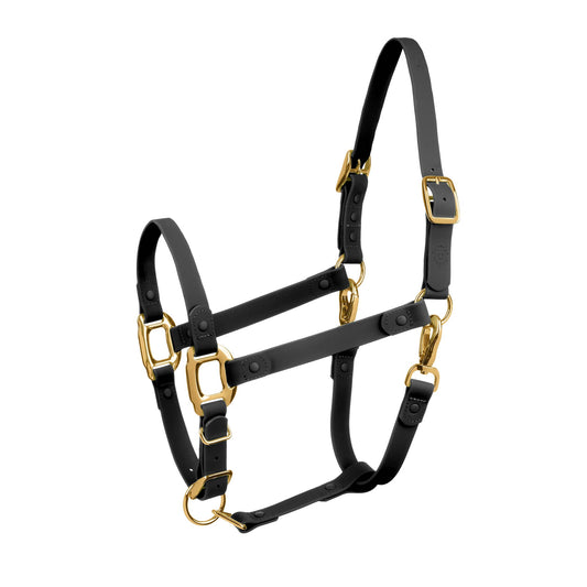 Black and Gold Horse Halter - iCavalos