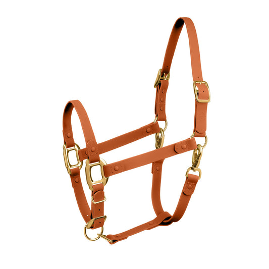 Brown Horse Halter - iCavalos