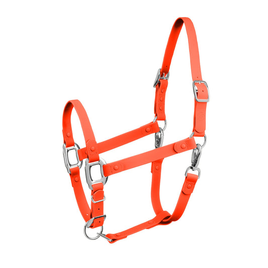Limited Edition Pumpkin Spice Horse Halter - iCavalos