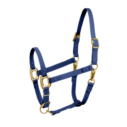 Royal Blue Horse Halter - iCavalos