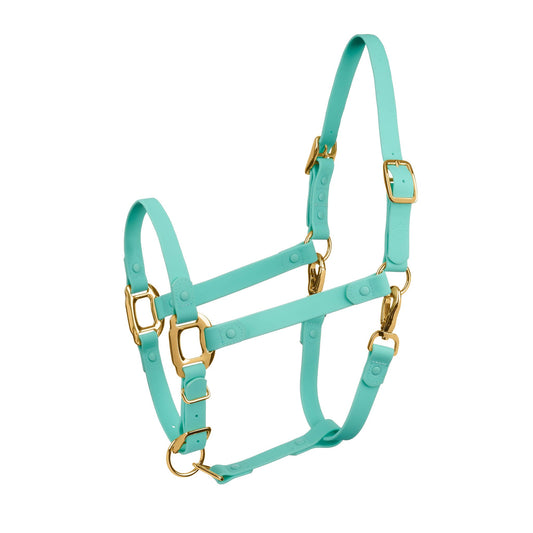 Turquoise Horse Halter - iCavalos