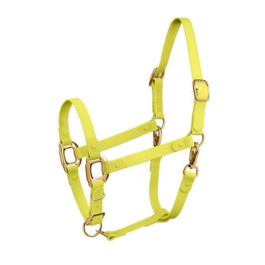Yellow Horse Halter - iCavalos