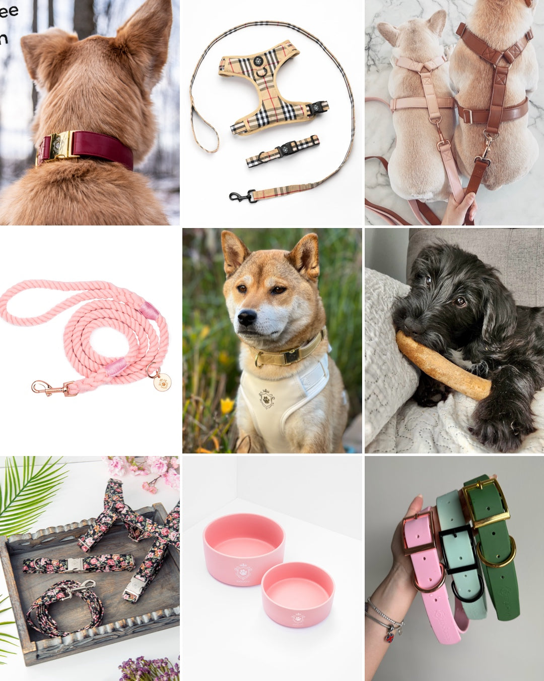 Mystery Box - Dog PREMIUM ( New inventory )