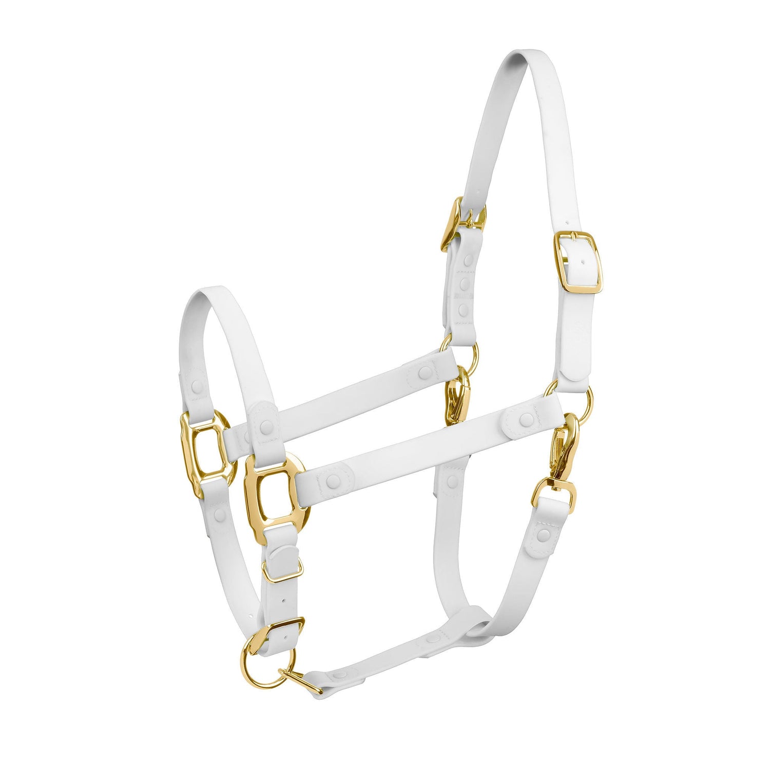 Horse Halters