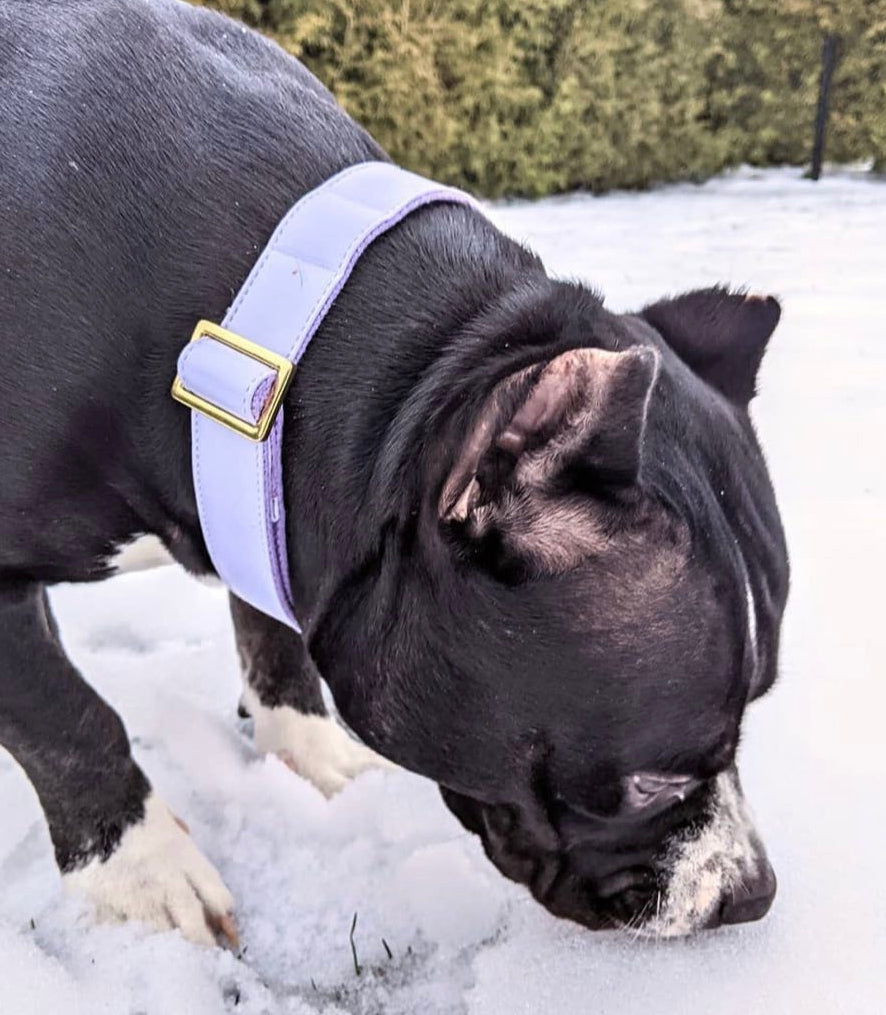 Purple Lilac - collar