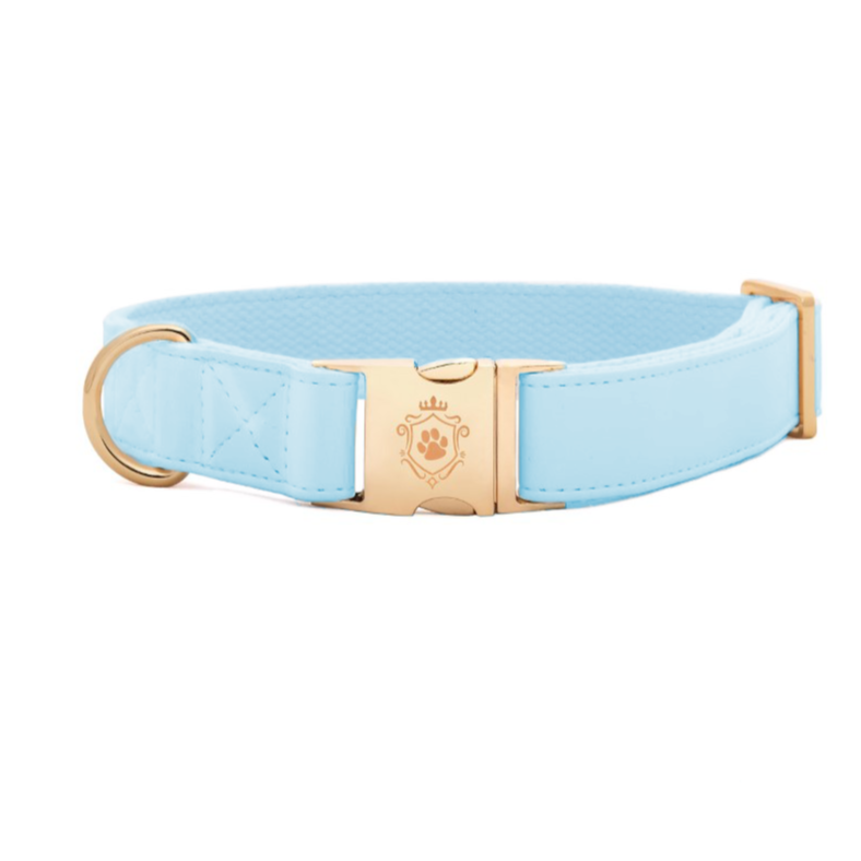 Baby Blue collar - Preorder