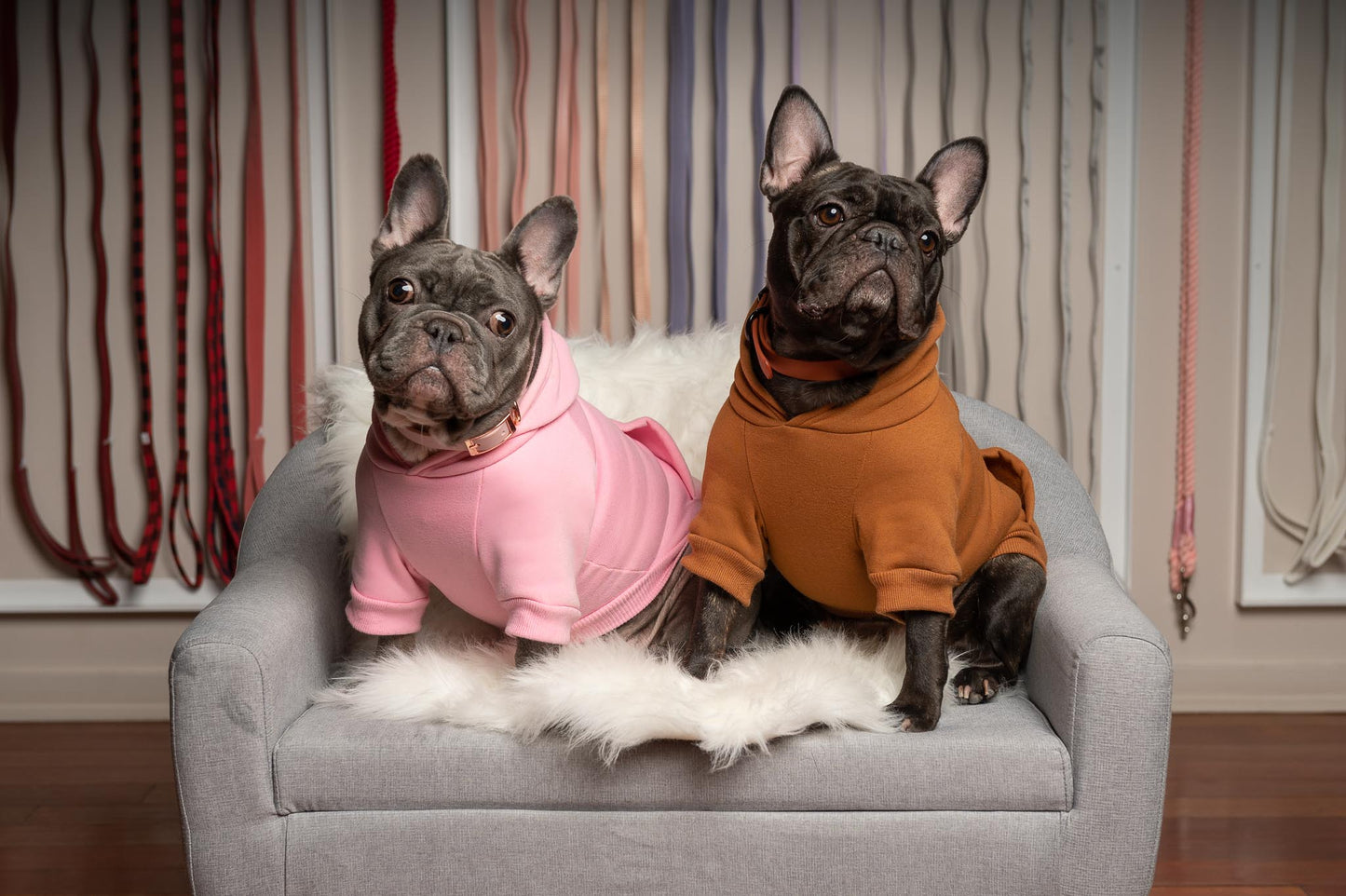Hoodie - iDoggos
