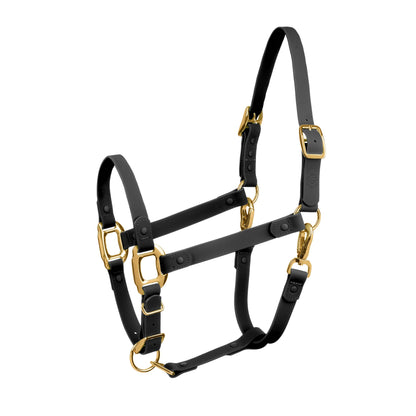 Black and Gold Horse Halter - iCavalos