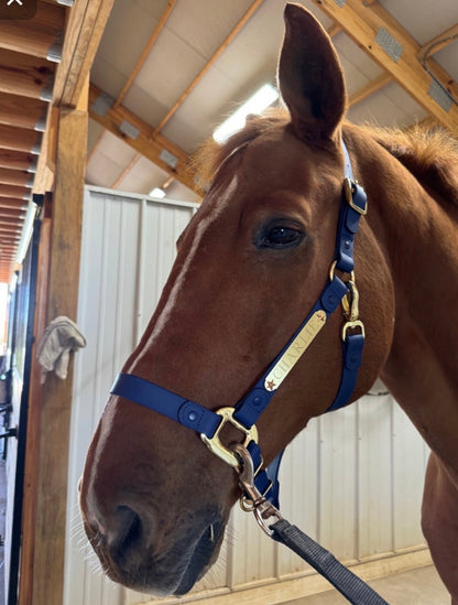 Personalized Halter