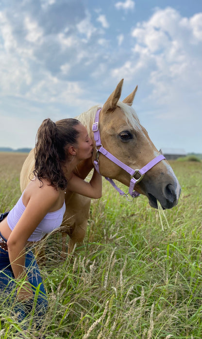 Purple Horse Halter - iCavalos