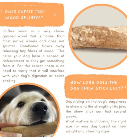 Mystery Box - Coffee wood