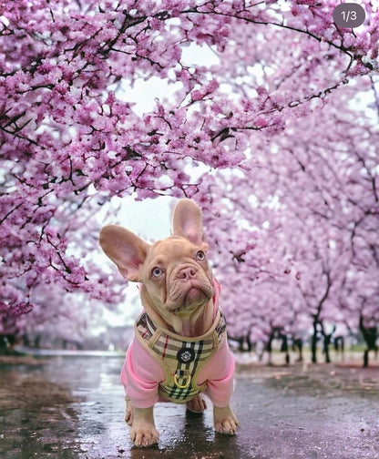 Hoodie - iDoggos