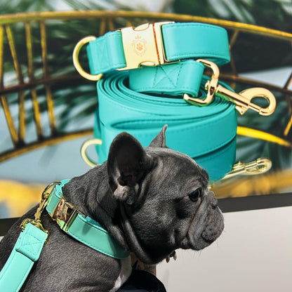 Turquoise collar