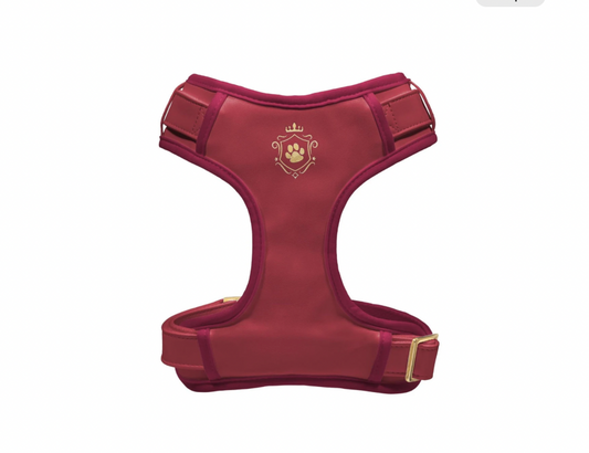 Burgundy Harness