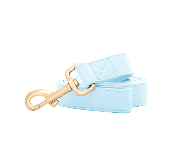Laisse Bleu Bébé - Précommande