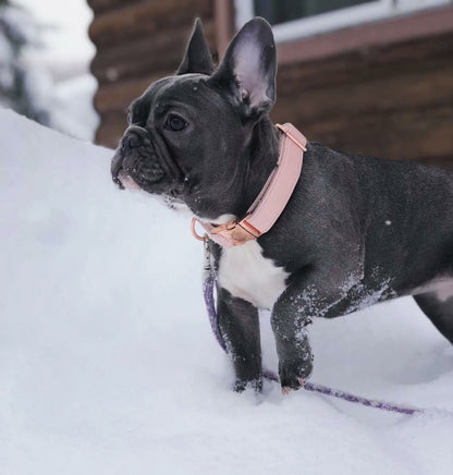 Candy Pink collar