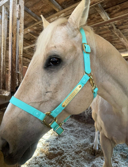 Personalized Halter