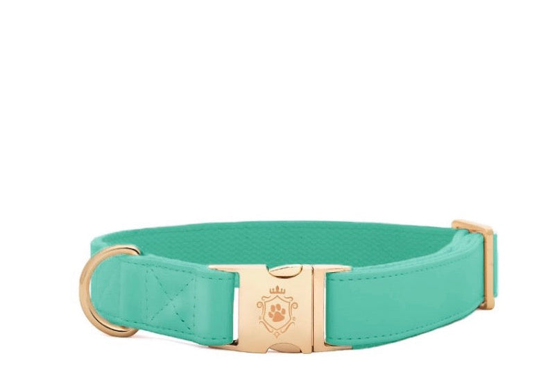 Turquoise collar
