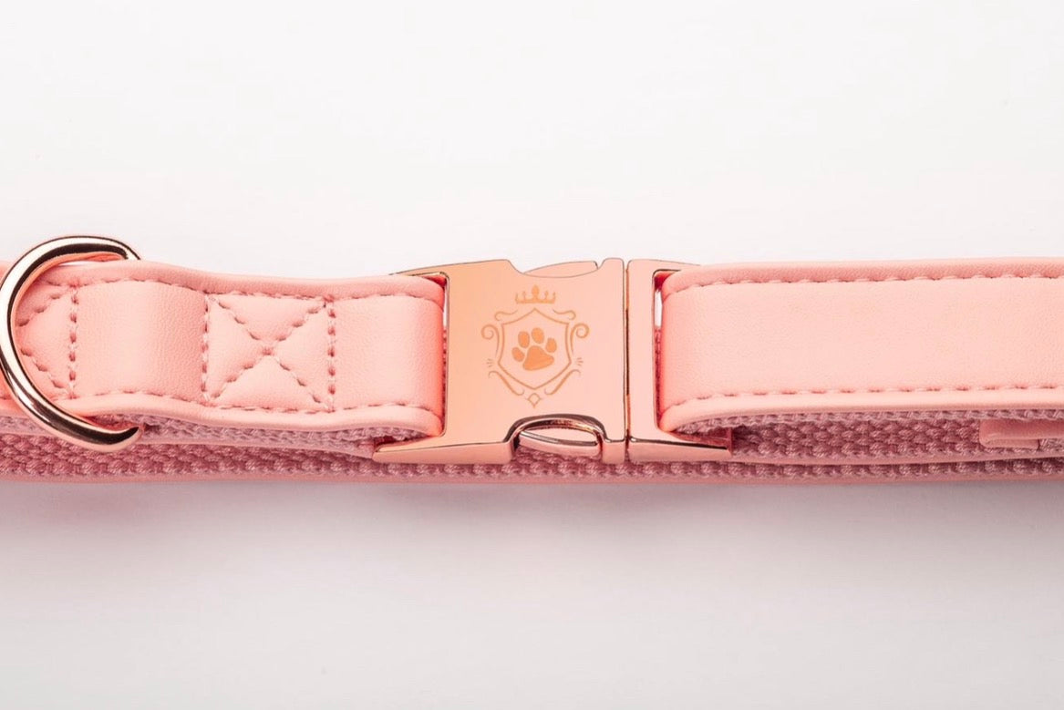 Candy Pink collar