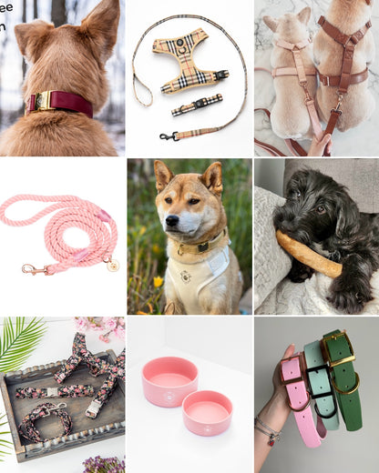 Mystery Box - Dog PREMIUM ( New inventory )