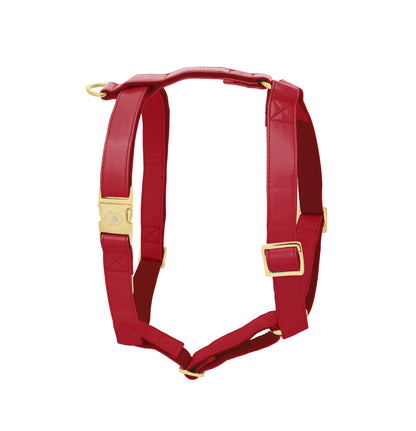 Burgundy Harness - Preorder