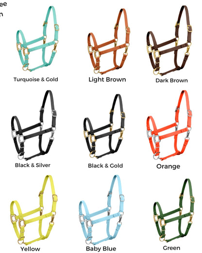 iCavalos - Horse halter & Lead set (7 Days)